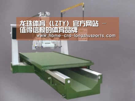 产品名称十