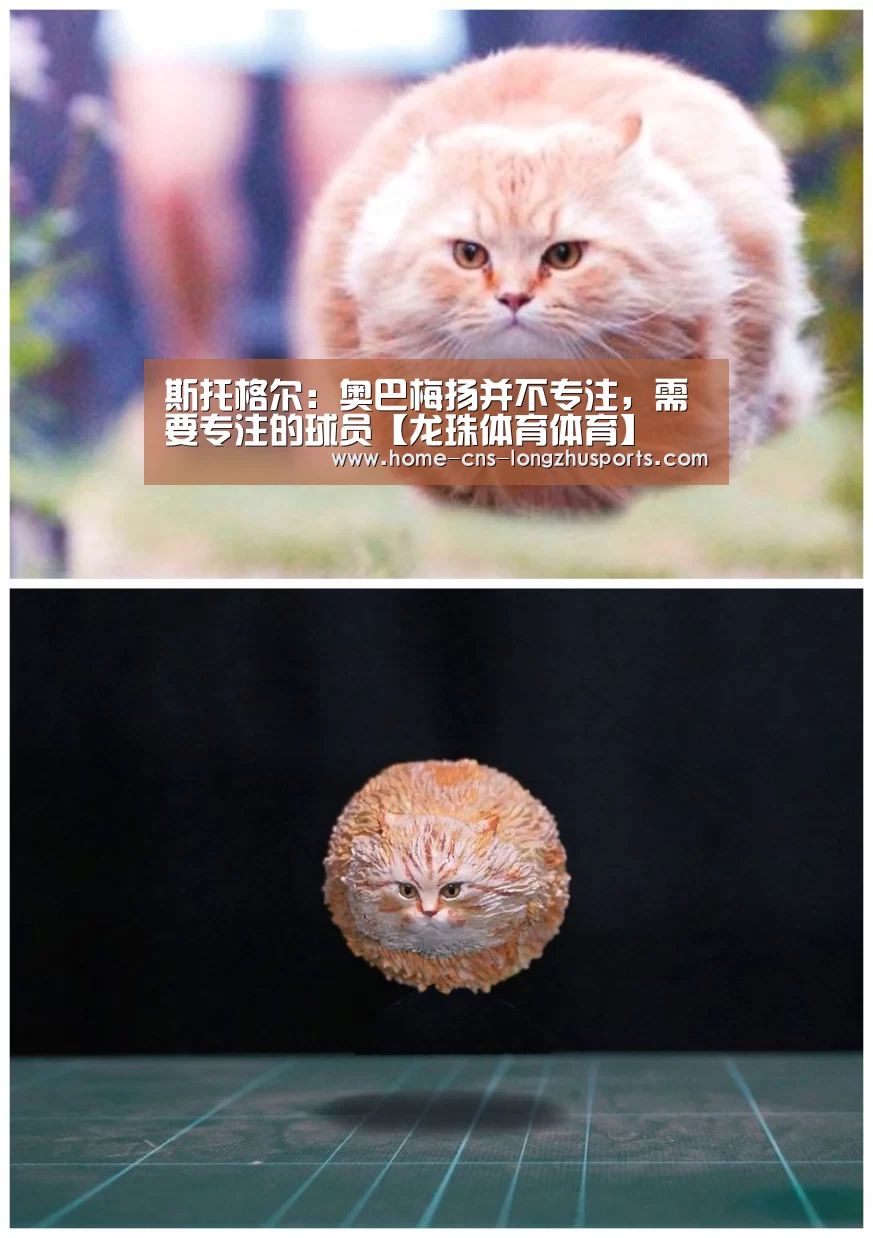 斯托格尔：奥巴梅扬并不专注，需要专注的球员【龙珠体育体育】