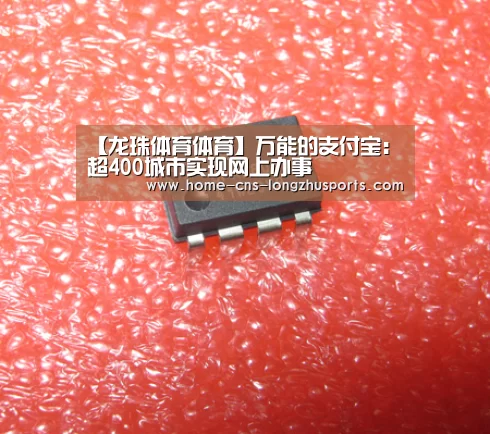 龙珠体育体育