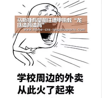 龙珠体育