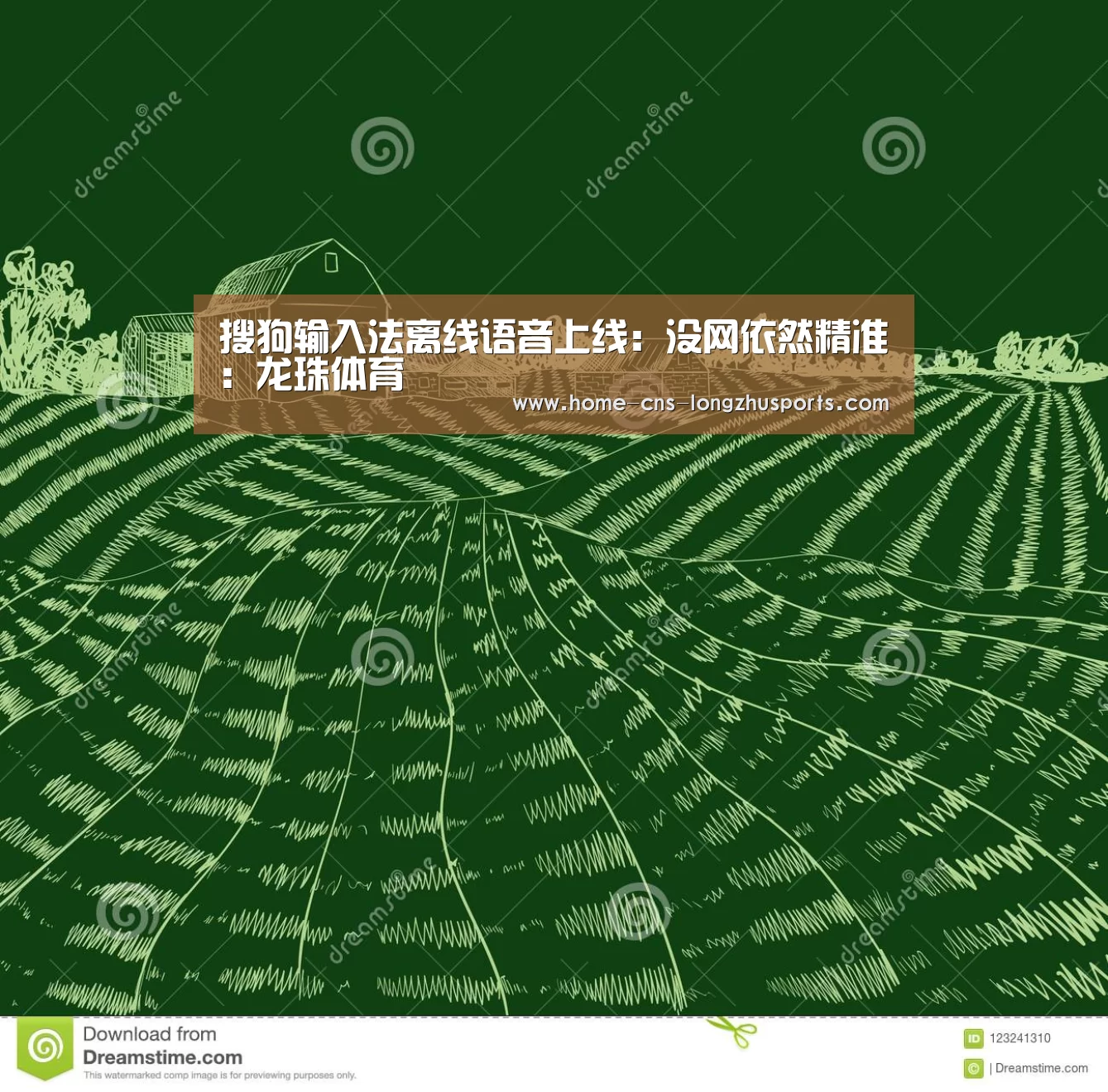 龙珠体育