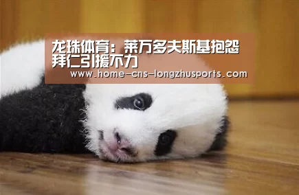 龙珠体育
