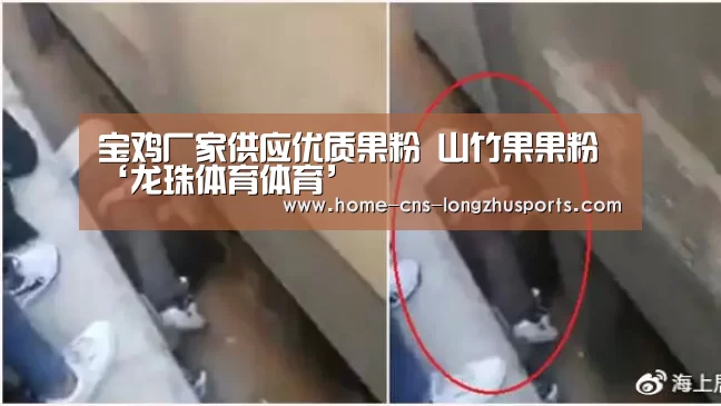 龙珠体育体育