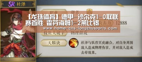 龙珠体育体育
