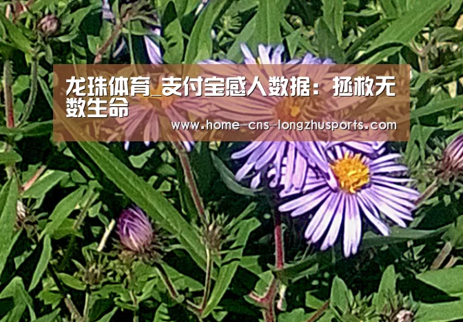龙珠体育_支付宝感人数据：拯救无数生命