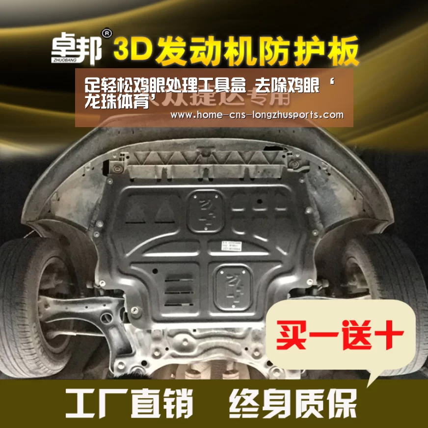 龙珠体育体育