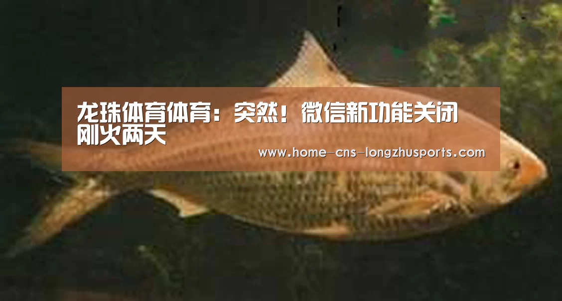 龙珠体育体育：突然！微信新功能关闭 刚火两天