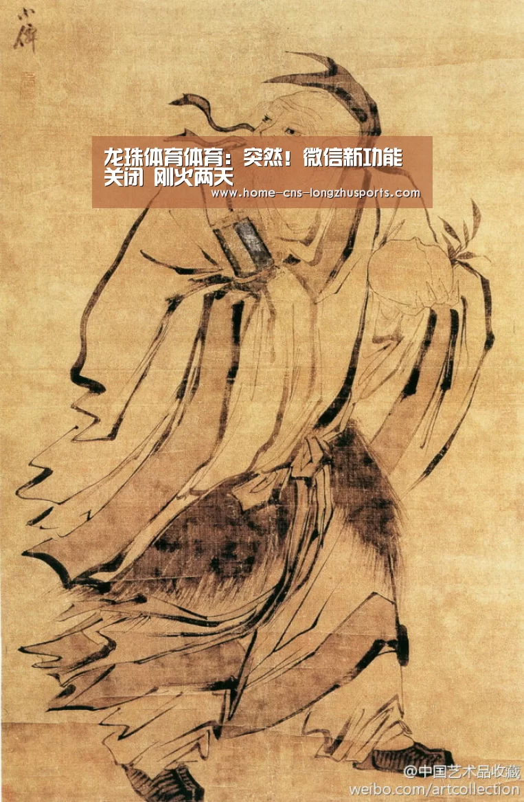 龙珠体育体育