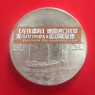 龙珠体育