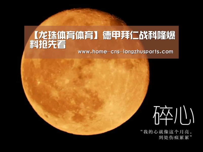 龙珠体育体育