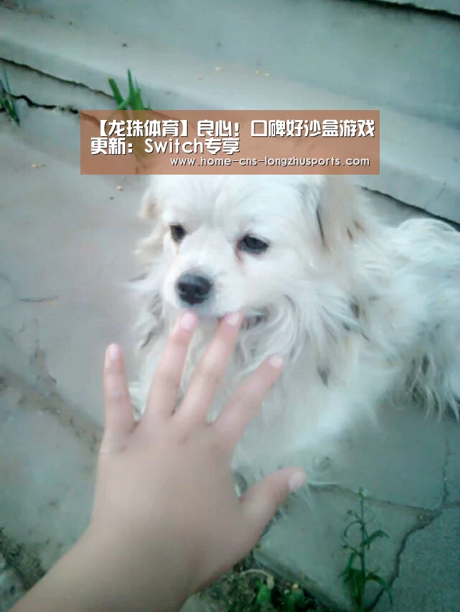 【龙珠体育】良心!口碑好沙盒游戏更新:Switch专享(图3) 龙珠体育