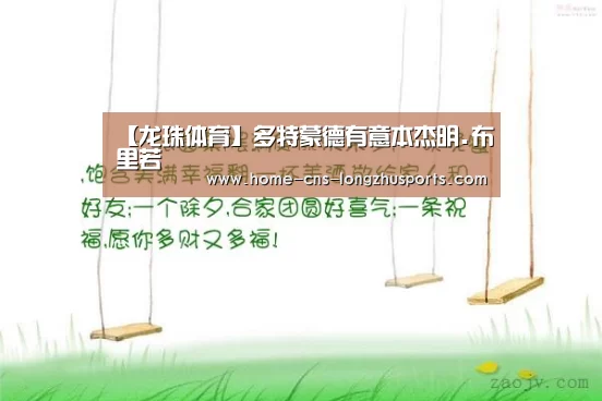 龙珠体育