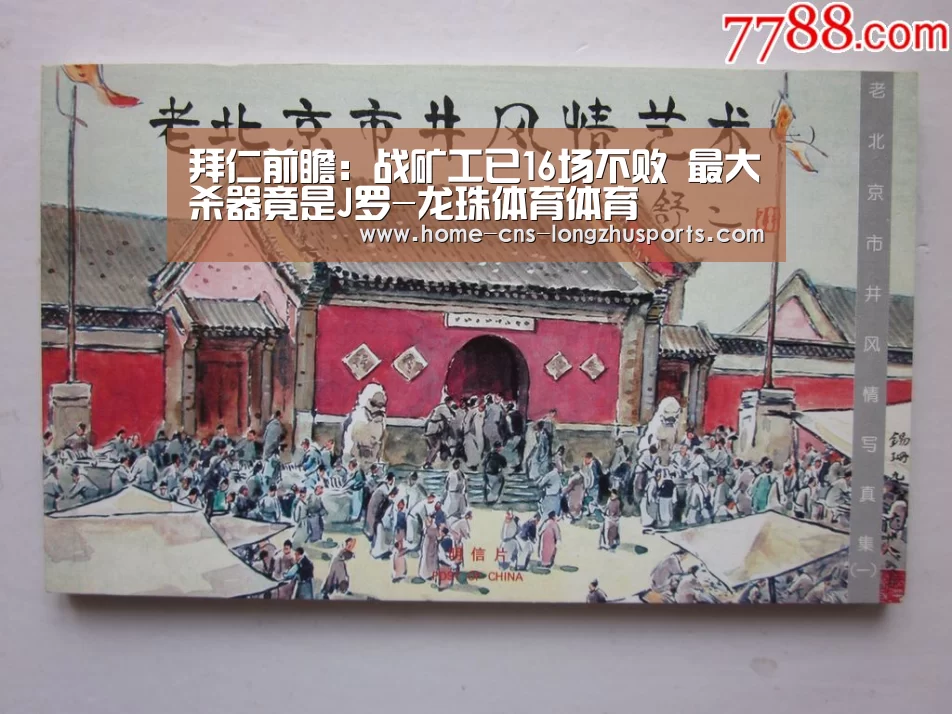 龙珠体育体育