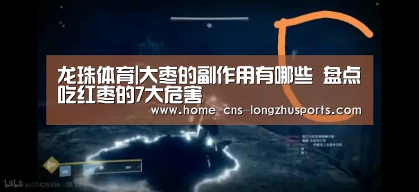 龙珠体育