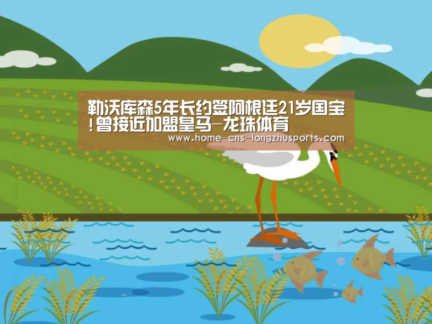 龙珠体育体育
