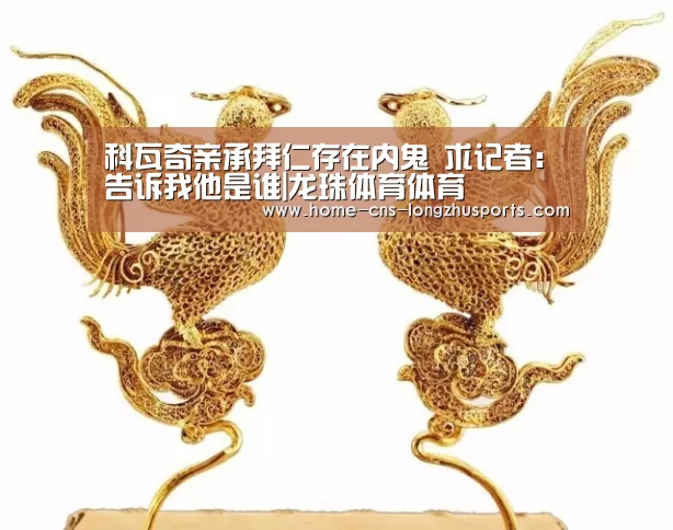 龙珠体育体育