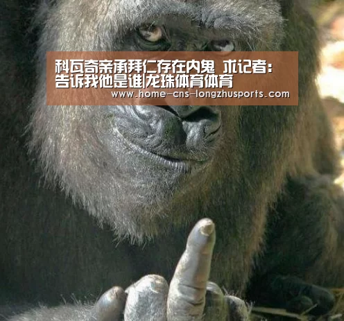 龙珠体育