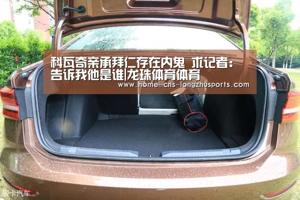 龙珠体育