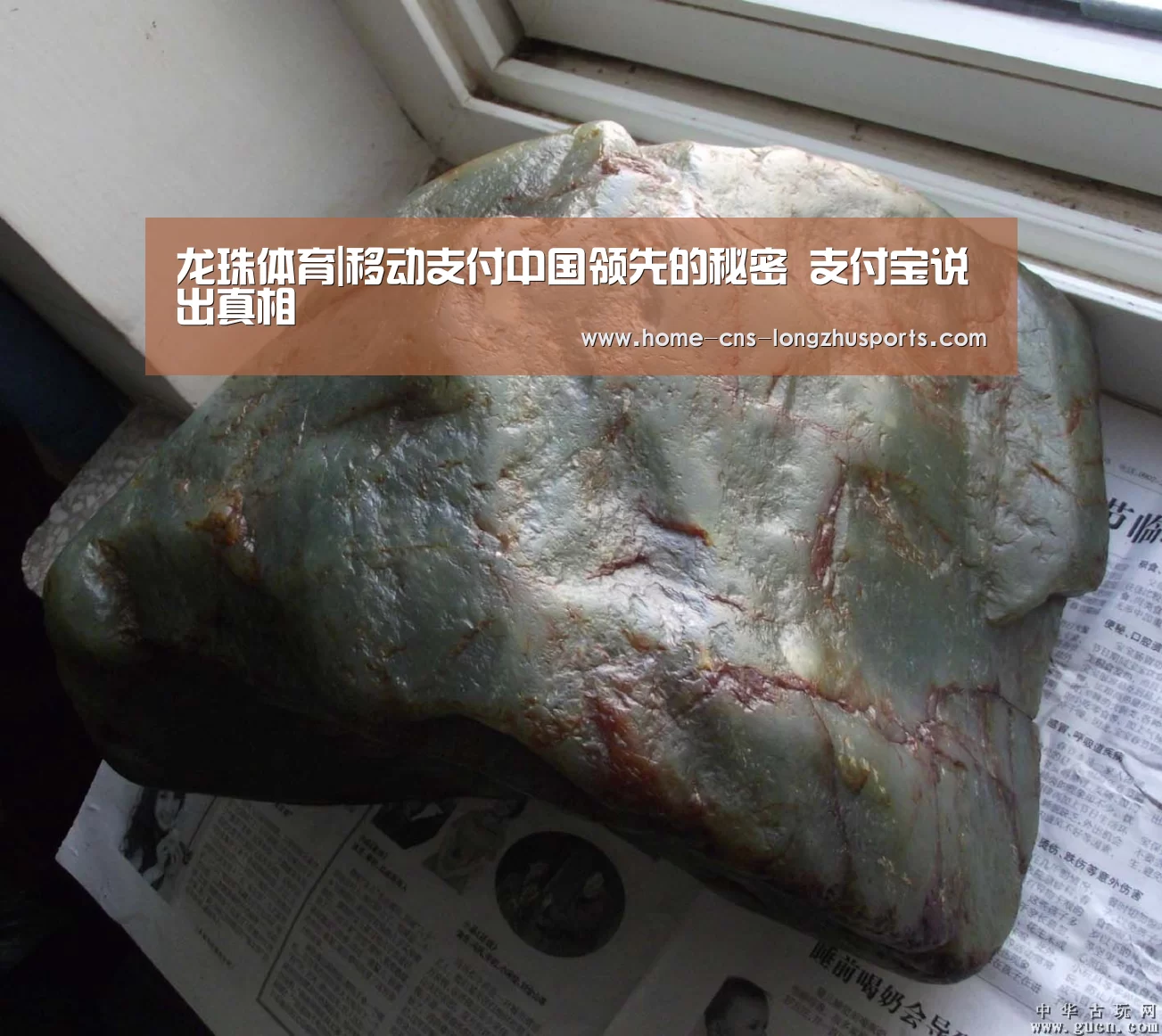 龙珠体育