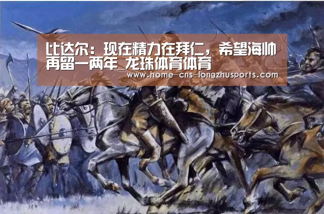 龙珠体育