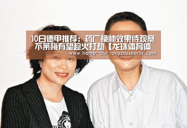 龙珠体育