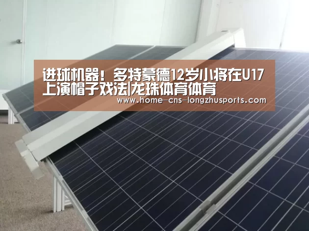 龙珠体育体育