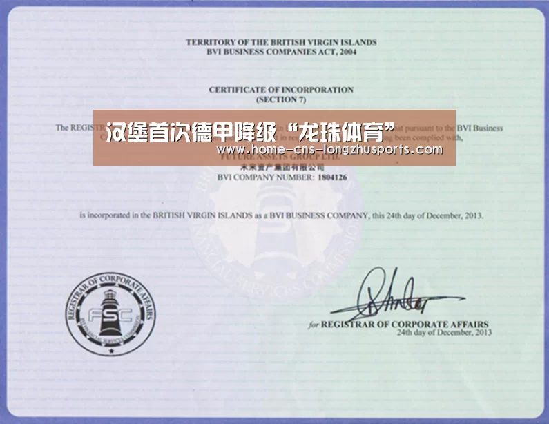汉堡首次德甲降级“龙珠体育”