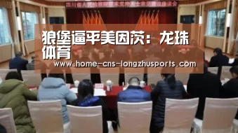 狼堡逼平美因茨：龙珠体育