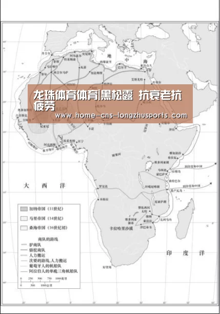 龙珠体育体育|黑松露 抗衰老抗疲劳