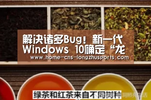 解决诸多Bug!新一代Windows 10确定“龙珠体育体育”(图2) 龙珠体育